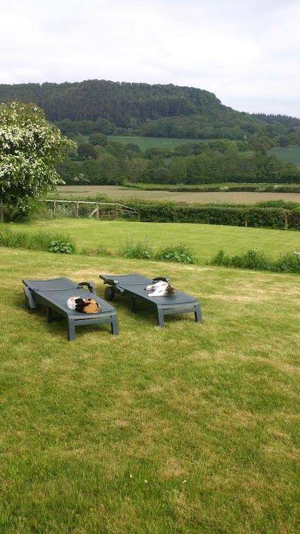 Upper Letton Farm Bed & Breakfast Leintwardine Exterior photo