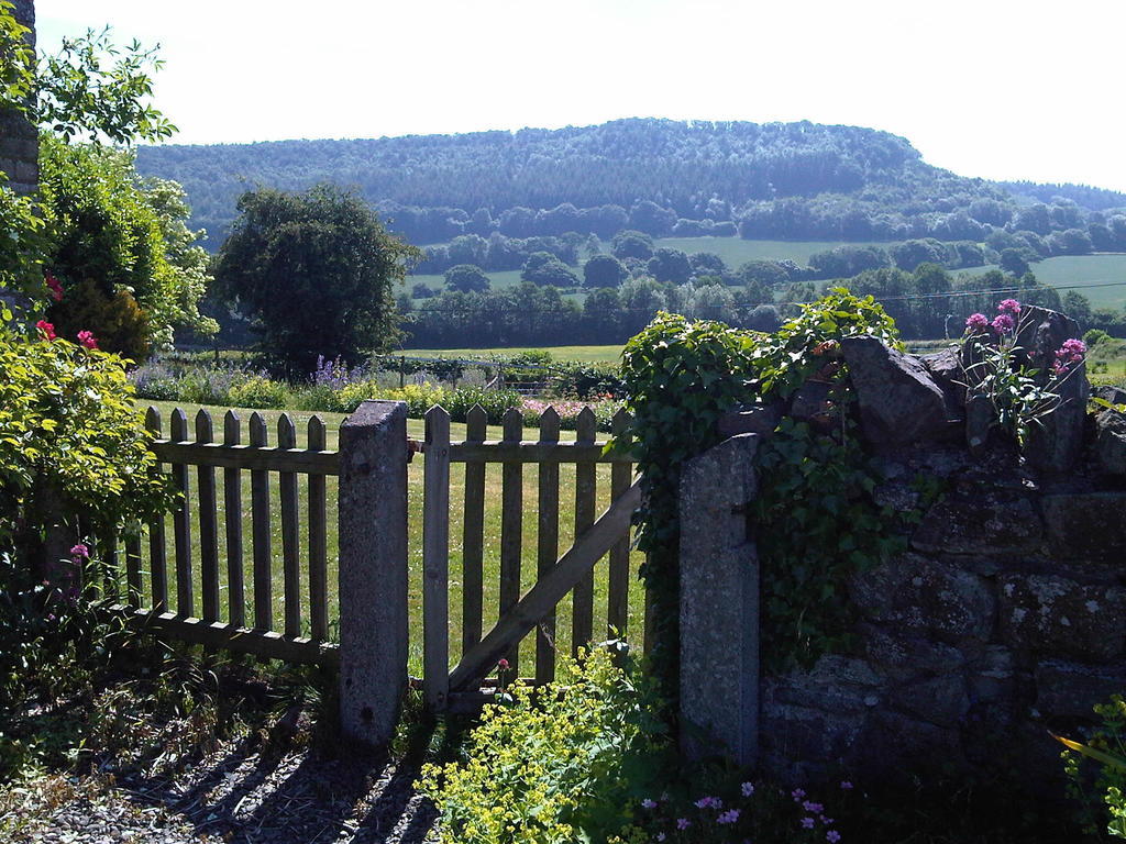 Upper Letton Farm Bed & Breakfast Leintwardine Exterior photo