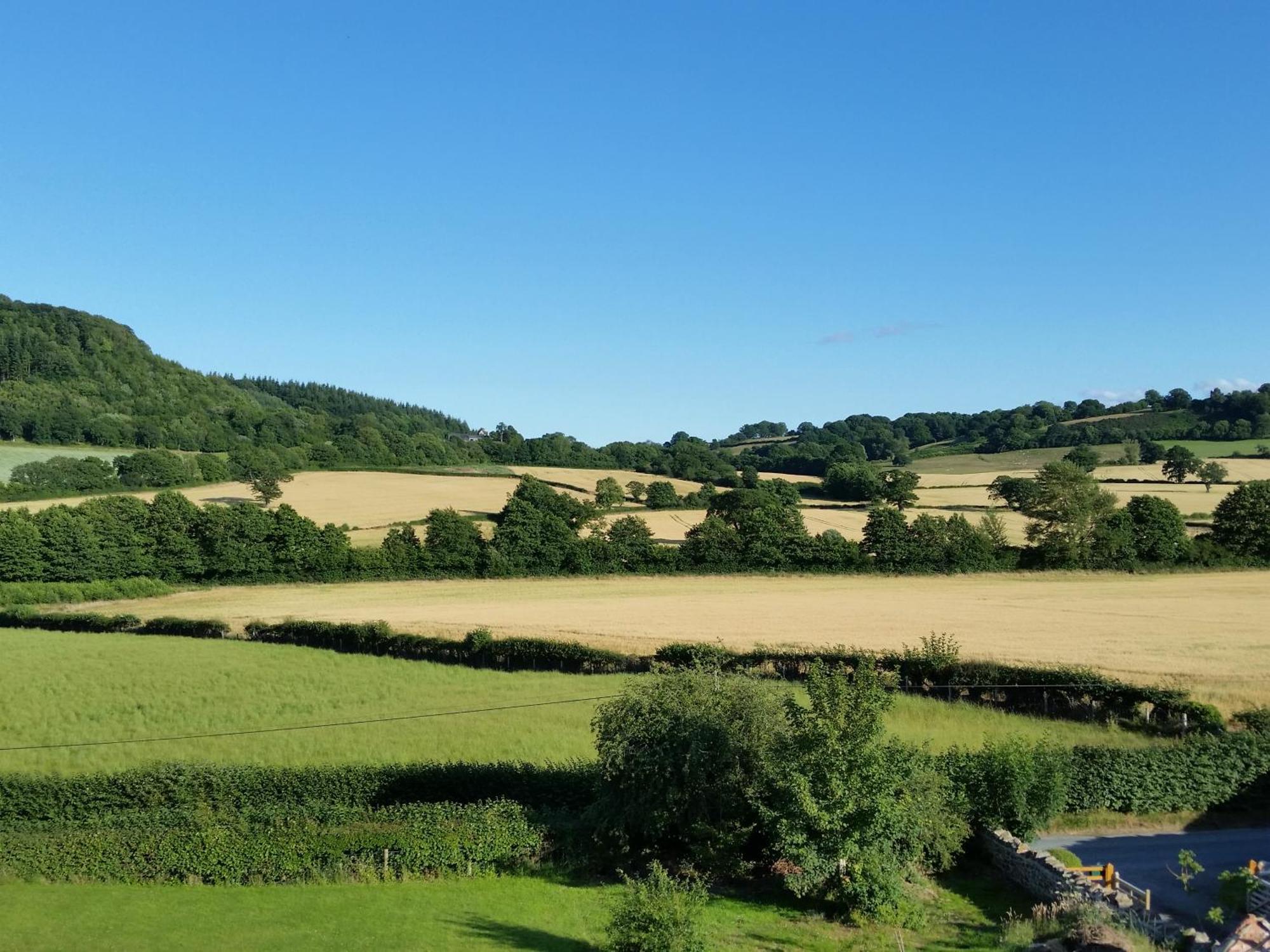 Upper Letton Farm Bed & Breakfast Leintwardine Exterior photo